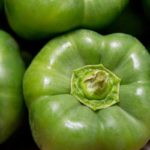 Fresh Meal Kit - Imagen 3