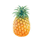 Pineapple - Imagen 4